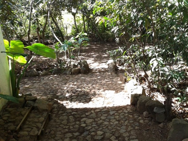 campamento tortuguero